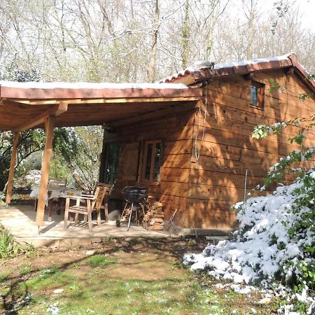 Cabane Dans Les Bois Avec Vue Sur Les Pyrenees Saint-Laurent-de-Neste Exterior photo