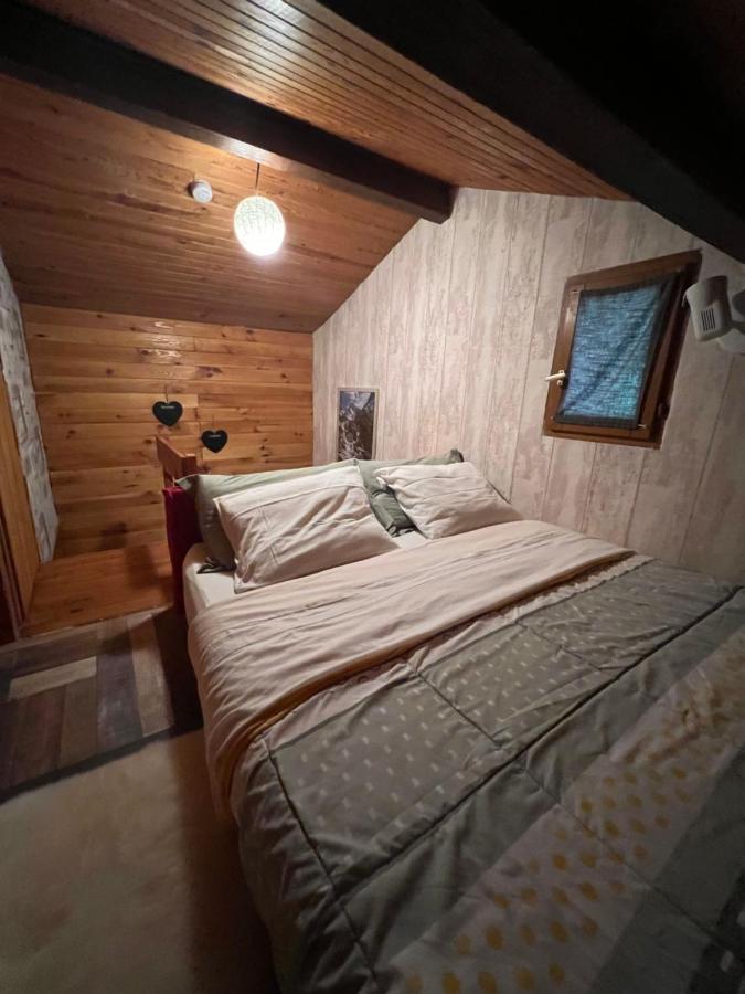 Cabane Dans Les Bois Avec Vue Sur Les Pyrenees Saint-Laurent-de-Neste Exterior photo