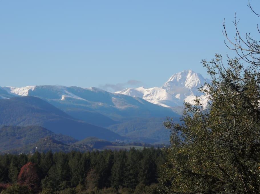 Cabane Dans Les Bois Avec Vue Sur Les Pyrenees Saint-Laurent-de-Neste Exterior photo