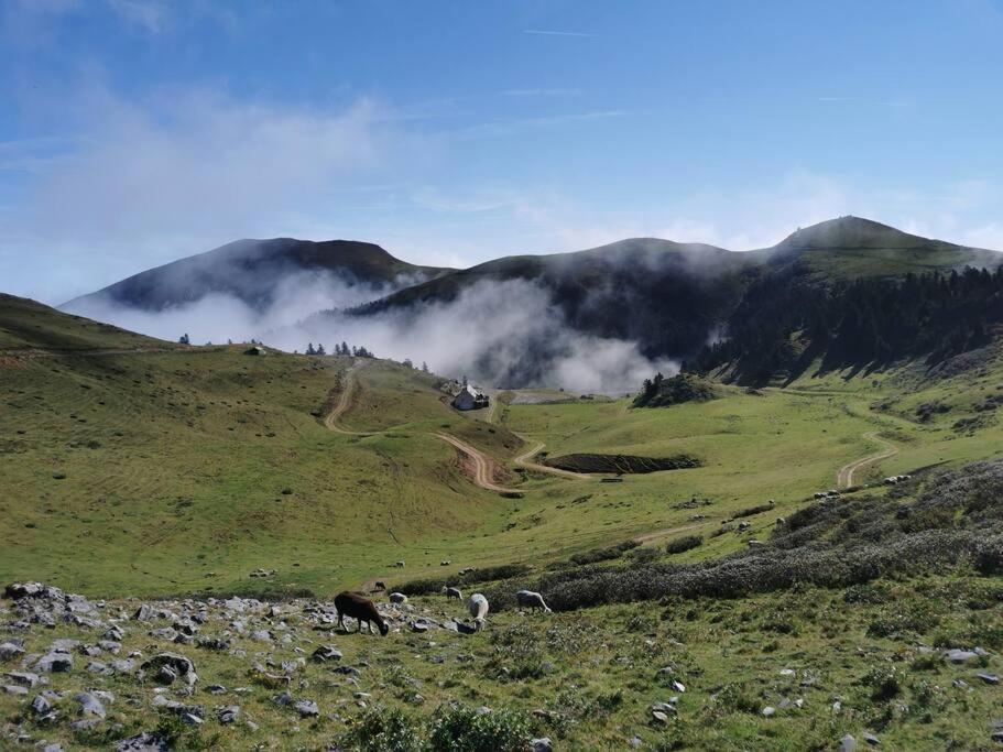Cabane Dans Les Bois Avec Vue Sur Les Pyrenees Saint-Laurent-de-Neste Exterior photo